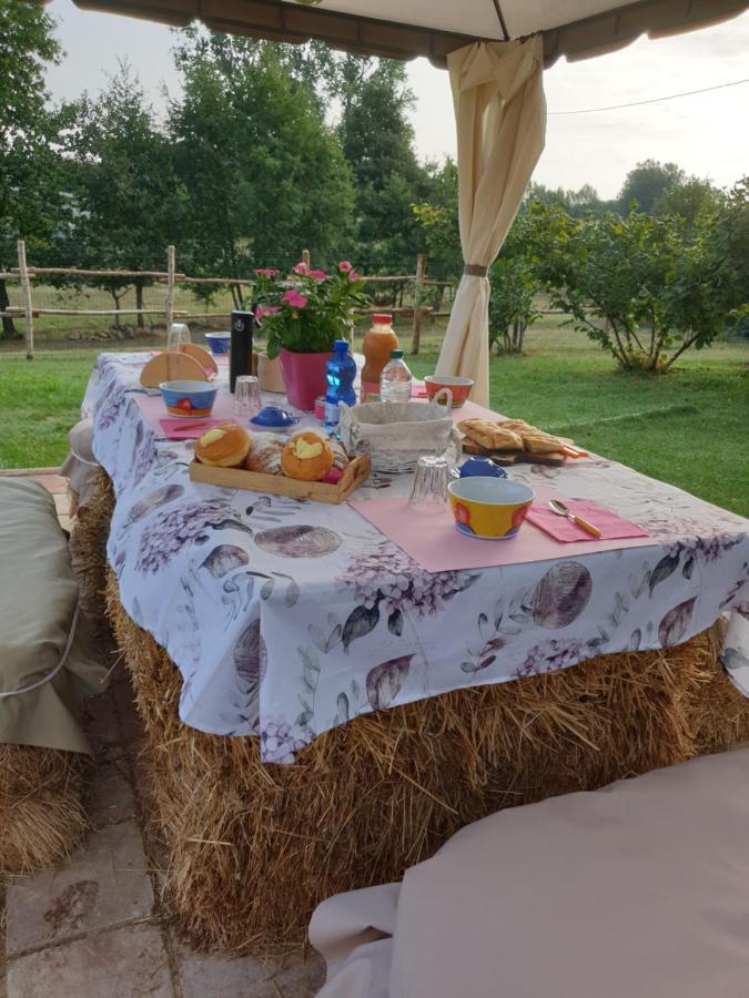 La Diligenza Bed & Breakfast Tagliolo Monferrato Bagian luar foto