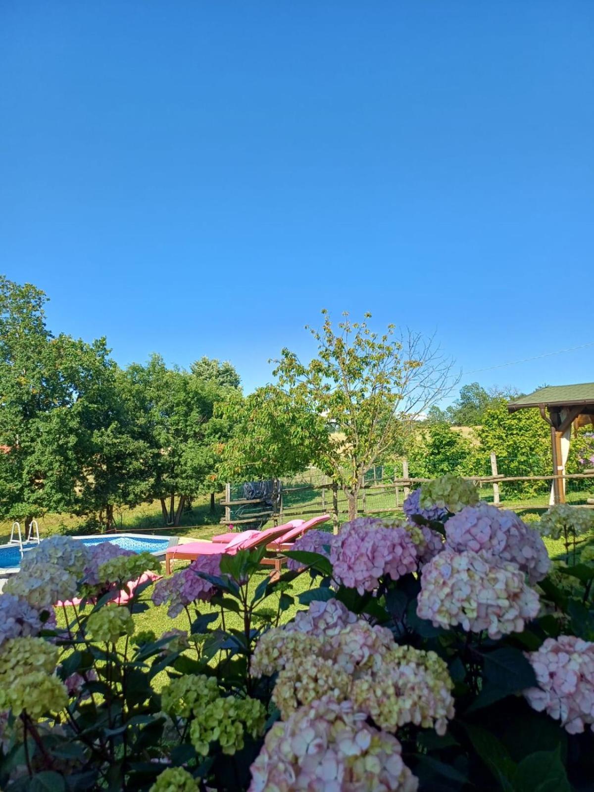 La Diligenza Bed & Breakfast Tagliolo Monferrato Bagian luar foto