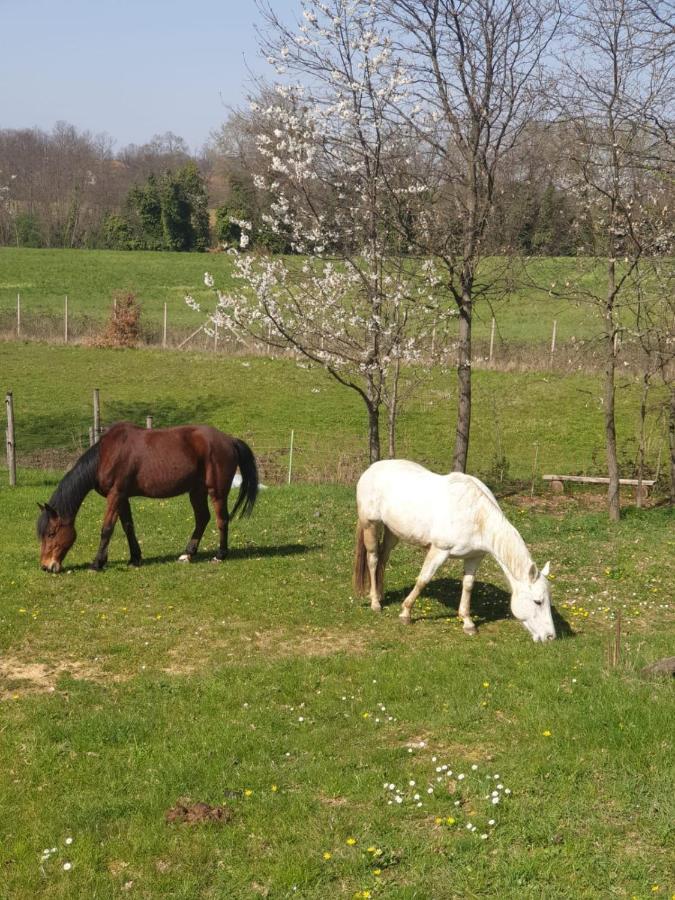 La Diligenza Bed & Breakfast Tagliolo Monferrato Bagian luar foto