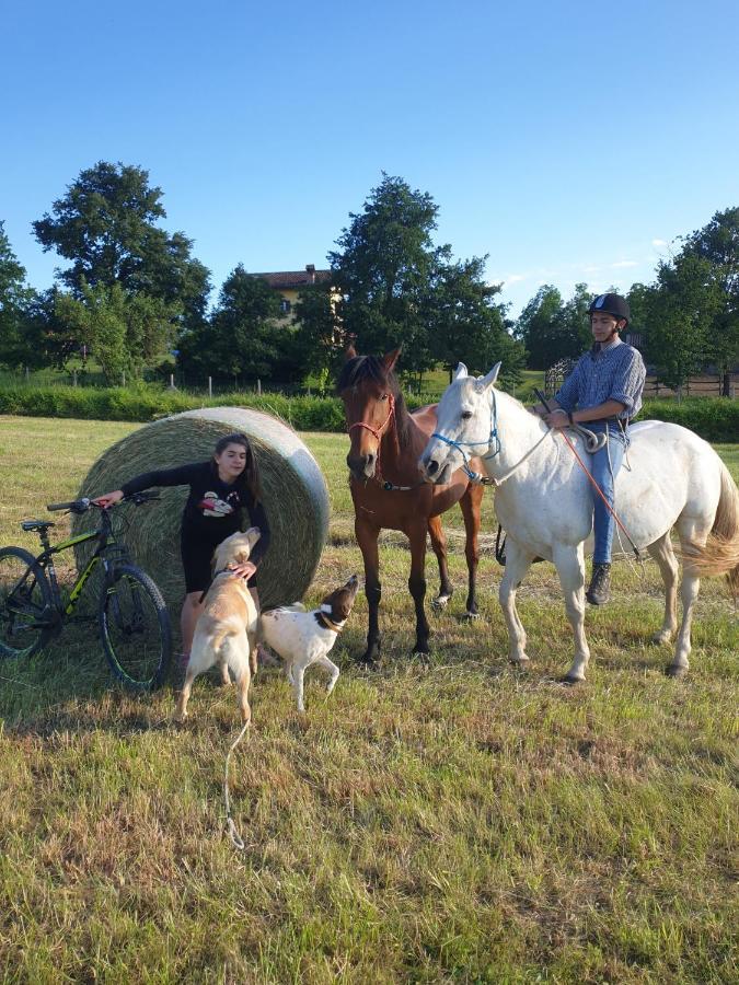 La Diligenza Bed & Breakfast Tagliolo Monferrato Bagian luar foto